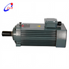 Motore mandrino per sega con intaglio per lavorazione del legno da 10 kW JGFK75-6Z/10